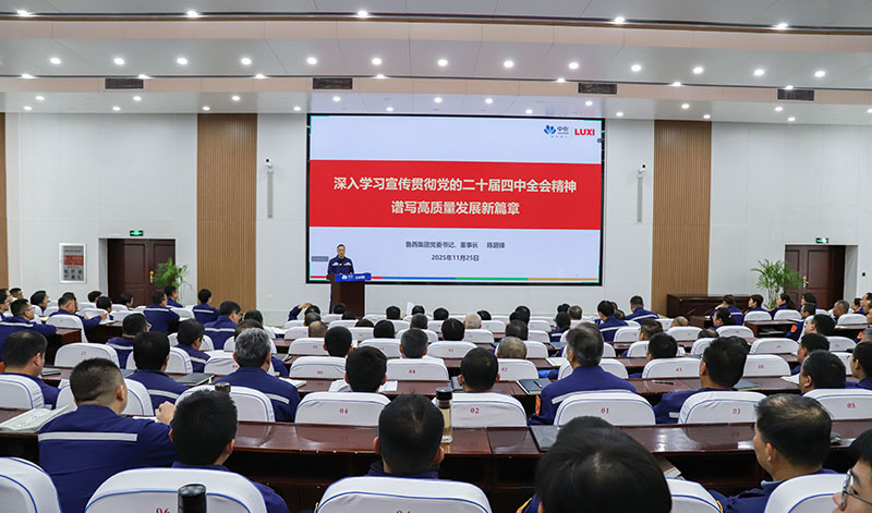 魯西集團召開學習貫徹黨的二十屆四中全會精神宣講會